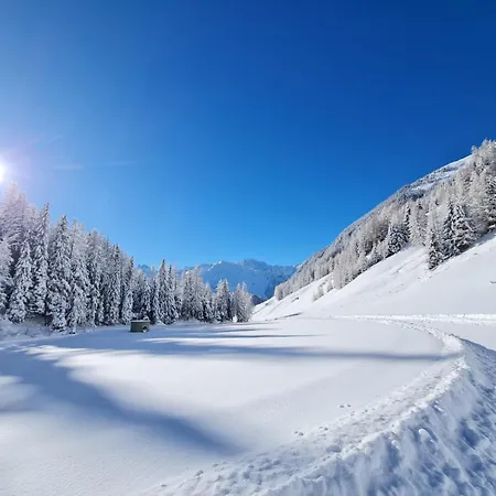 Alp Niederthai *