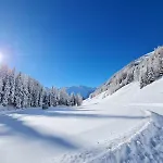 Alp Niederthai *